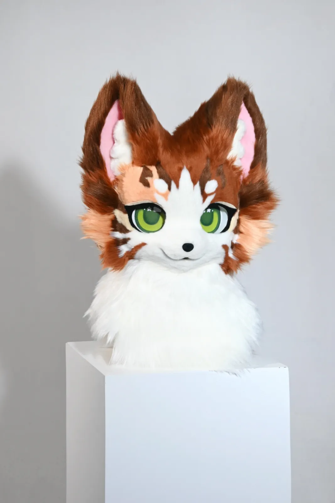 Brown & white feline head