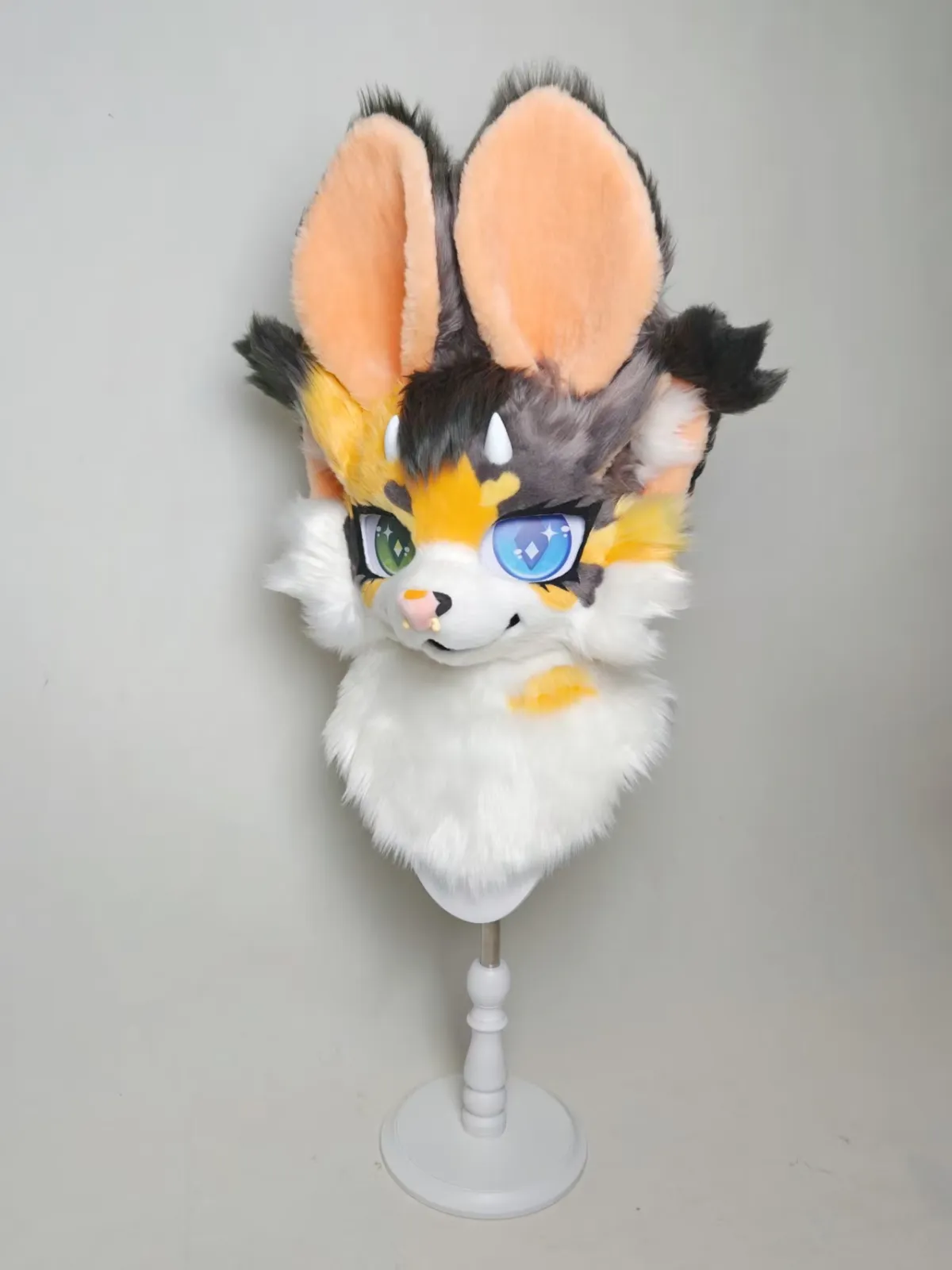 Calico bunny-eared head