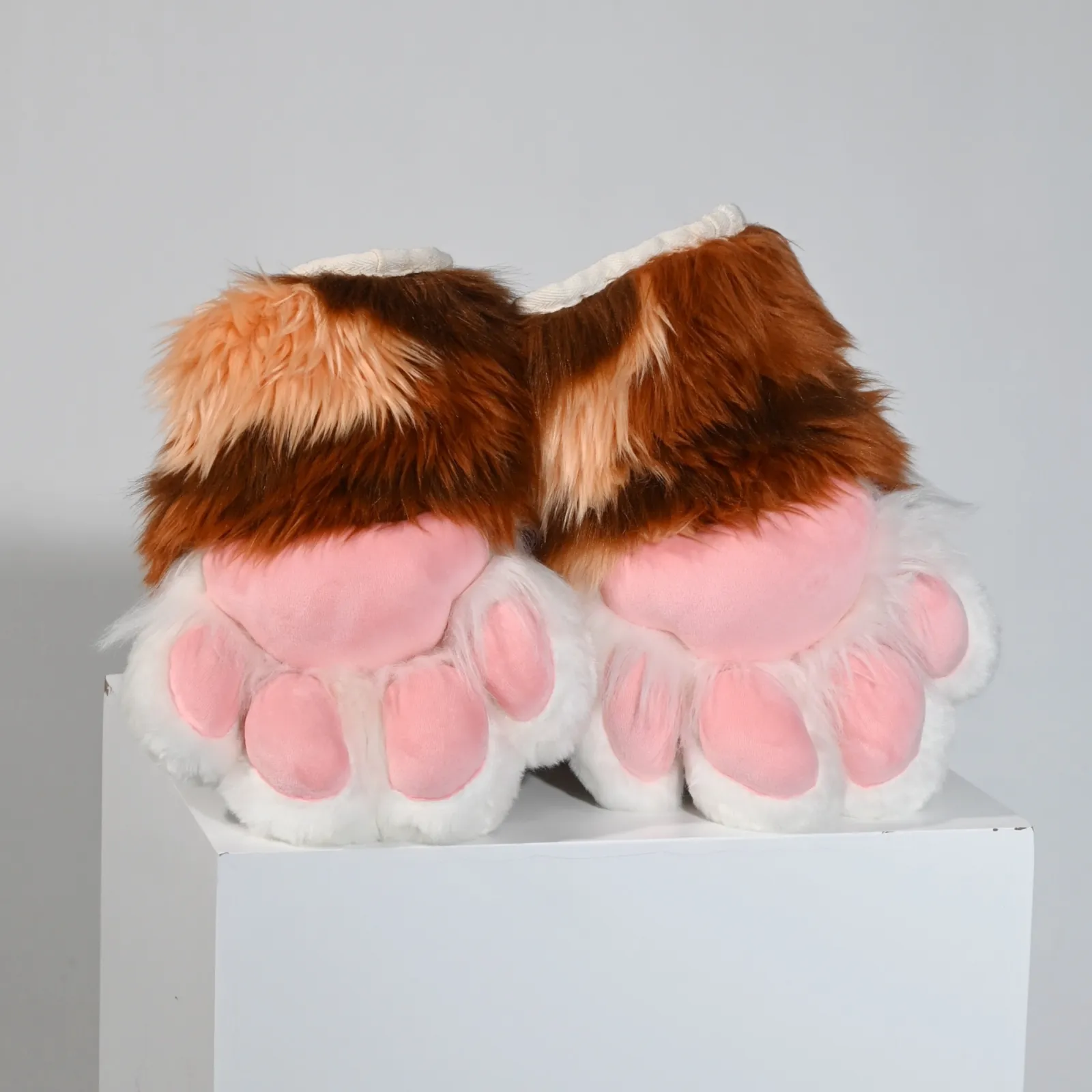 Brown & white feline paws with pink pads